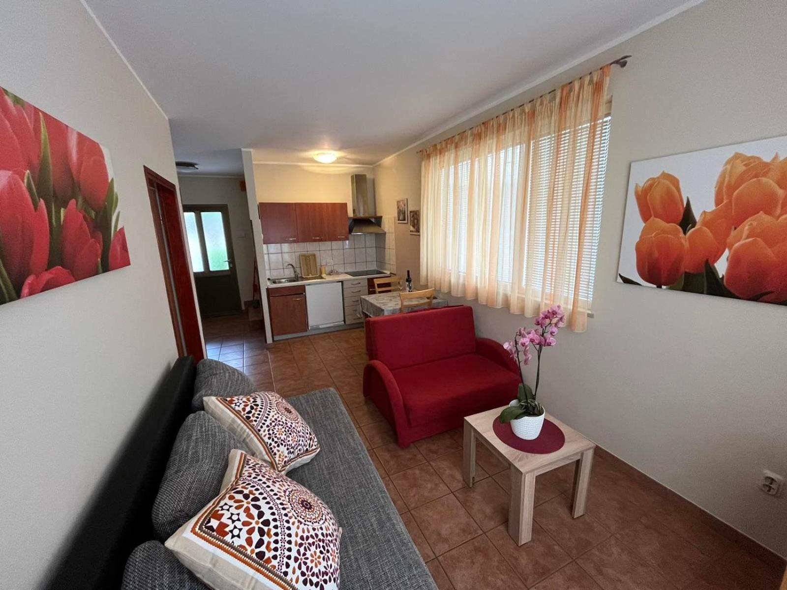 Family Apartments Suzi ロヴィニ エクステリア 写真