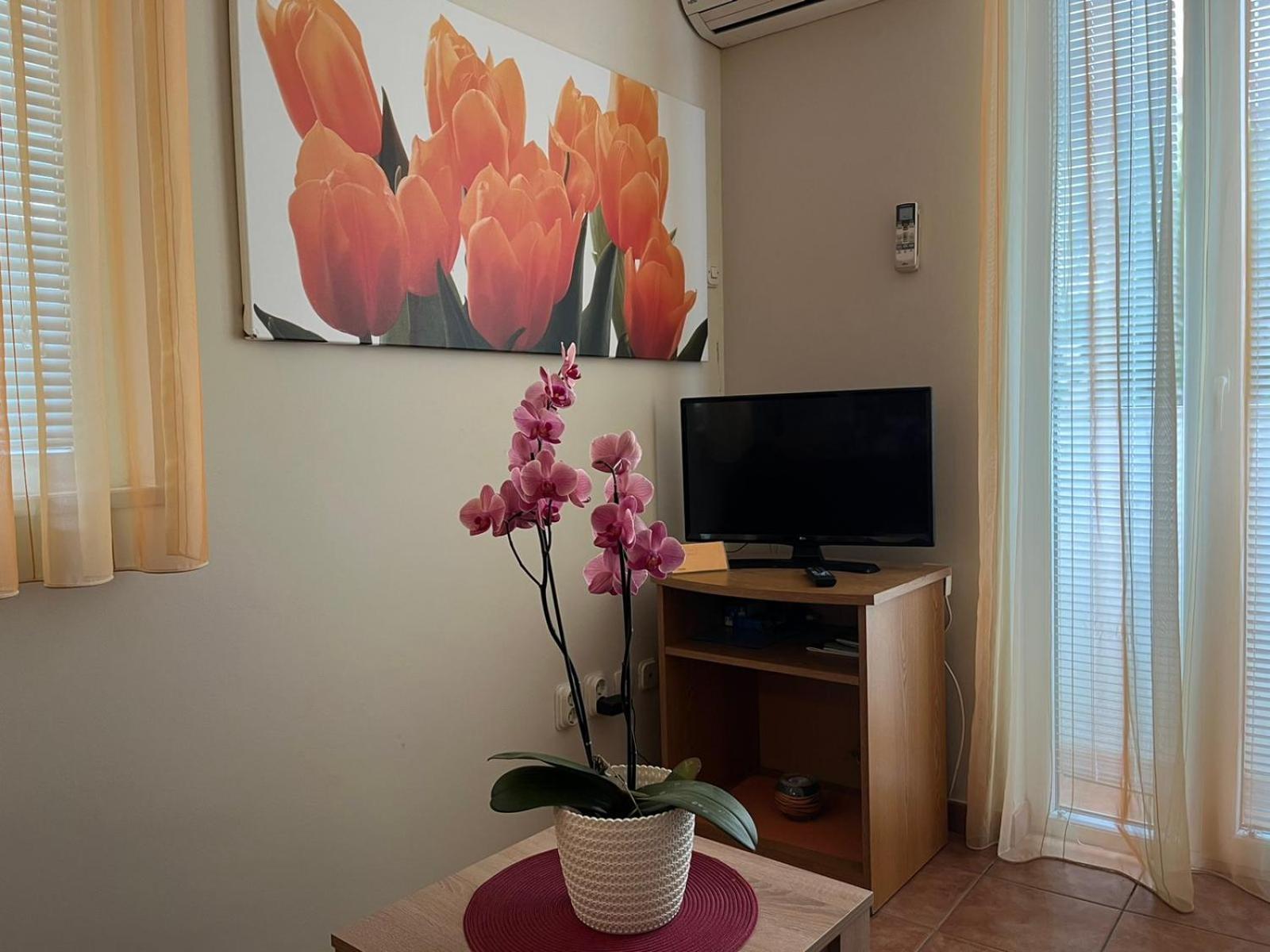 Family Apartments Suzi ロヴィニ エクステリア 写真